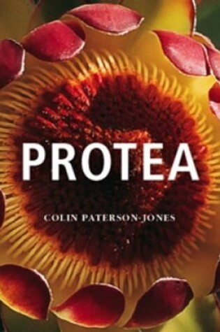 Cover of Protea