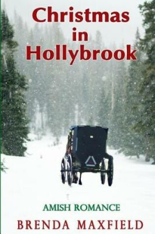 Cover of Christmas in Hollybrook