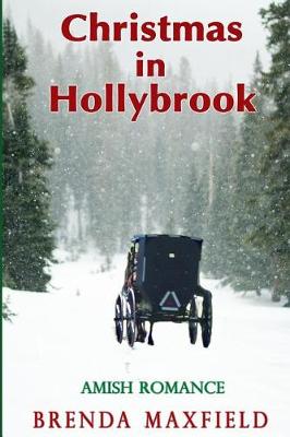 Book cover for Christmas in Hollybrook