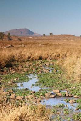 Book cover for Golan Heights Field and Stream in Israel