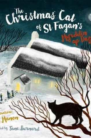 Cover of The Christmas Cat at St Fagan's