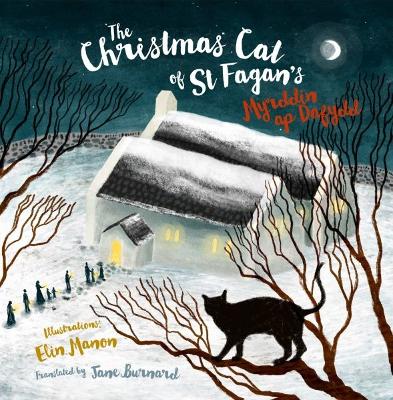 Book cover for Christmas Cat at St Fagan's, The