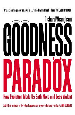 Book cover for The Goodness Paradox