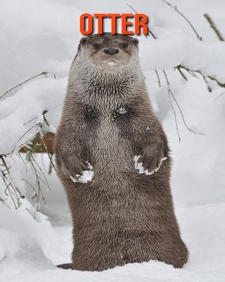 Book cover for Otter