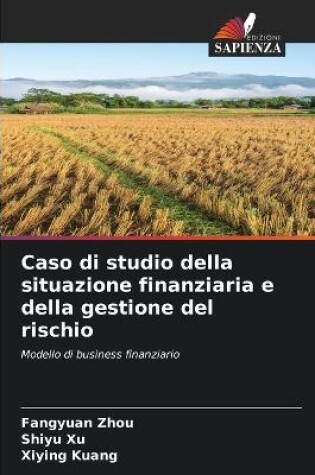 Cover of Caso di studio della situazione finanziaria e della gestione del rischio