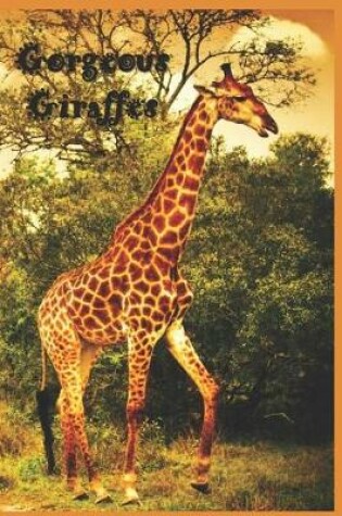 Cover of Gorgeous Giraffes