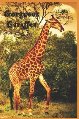 Book cover for Gorgeous Giraffes