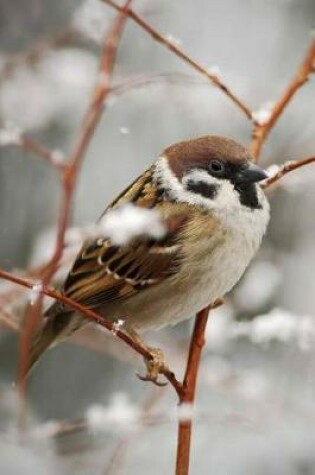 Cover of Songbird Tree Sparrow (Passer Montanus) Journal