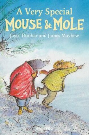 Cover of A Very Special Mouse and Mole