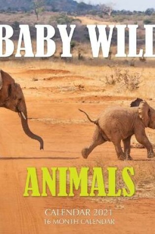 Cover of Baby Wild Animals Calendar 2021