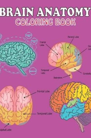 Cover of Brain Anatomy Coloring Book