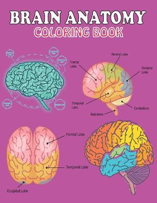 Book cover for Brain Anatomy Coloring Book