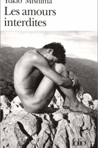 Cover of Amours Interdites