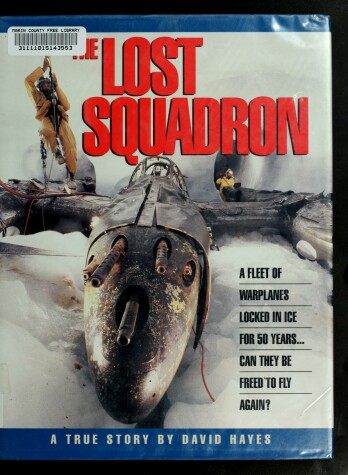 Book cover for The Lost Squadron