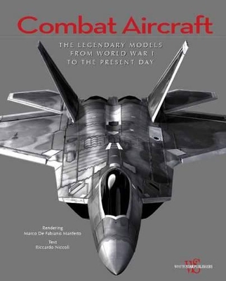 Book cover for Combat Aircraft: The Most Famous Models in History