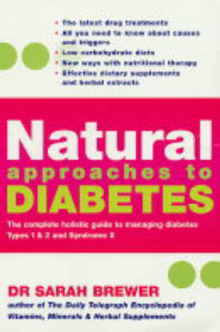 Cover of Natural Approaches To Diabetes