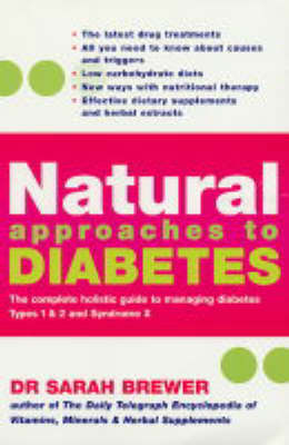 Book cover for Natural Approaches To Diabetes