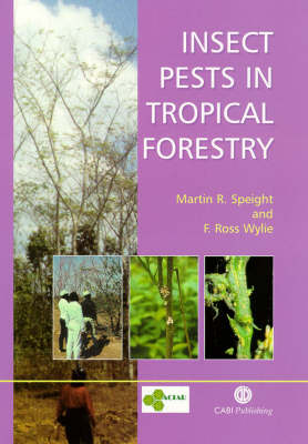 Book cover for Insect Pests in Tropical Forestry