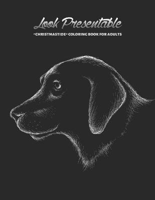 Book cover for Look Presentable