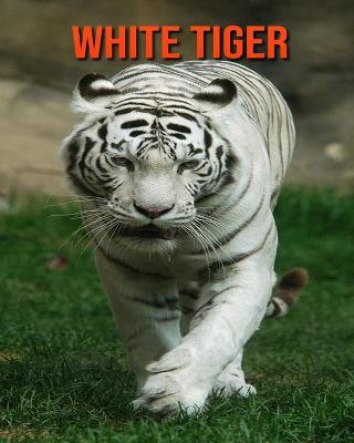 Book cover for White Tiger