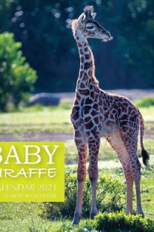 Cover of Baby Giraffe Calendar 2021