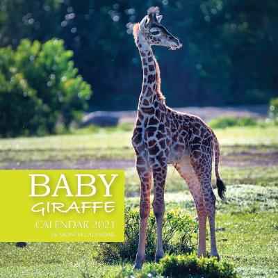 Book cover for Baby Giraffe Calendar 2021