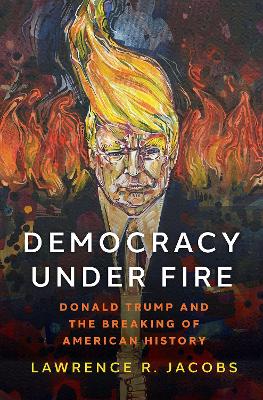 Book cover for Democracy under Fire