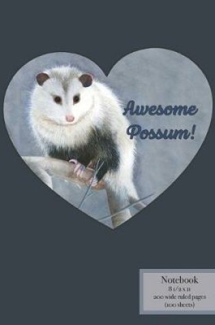 Cover of Awesome Possum!