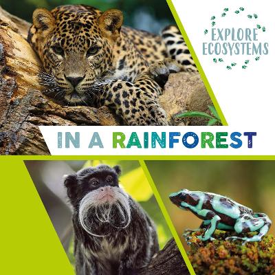 Book cover for Explore Ecosystems: In a Rainforest