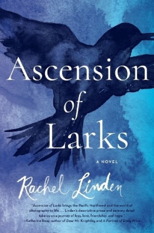 Cover of Ascension of Larks