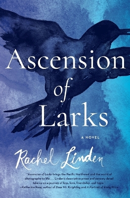 Book cover for Ascension of Larks