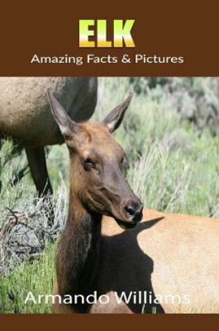 Cover of Elk