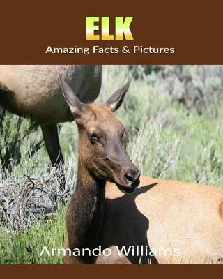 Book cover for Elk