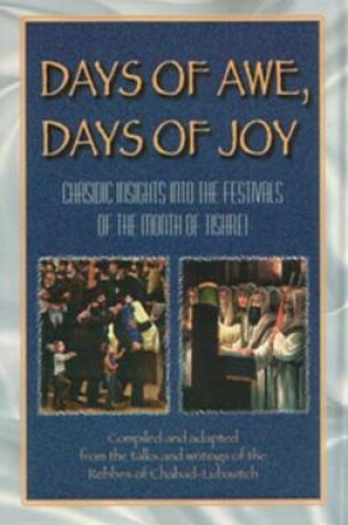 Cover of Days of Awe, Days of Joy