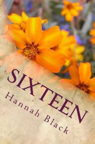 Cover of Sixteen