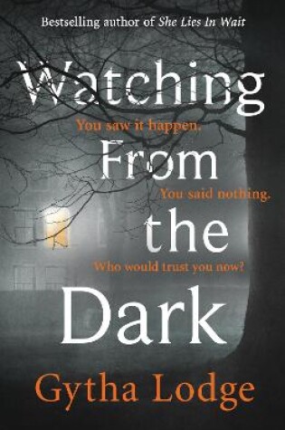 Cover of Watching from the Dark