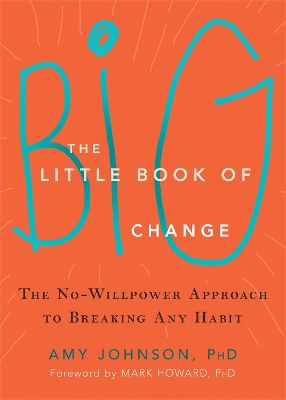 Book cover for The Little Book of Big Change