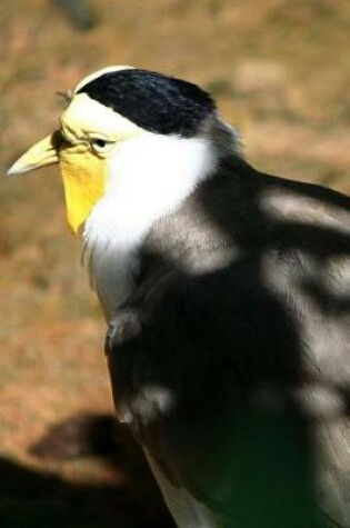 Cover of Plover Bird Journal