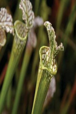 Cover of Floral Journal Trumpet Pitcher Plant