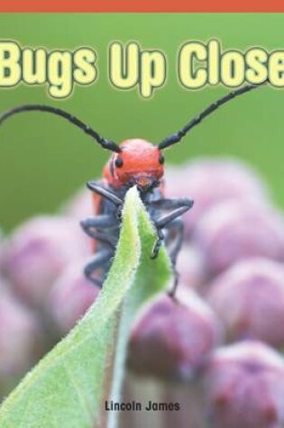 Cover of Bugs Up Close
