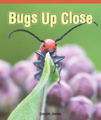 Cover of Bugs Up Close