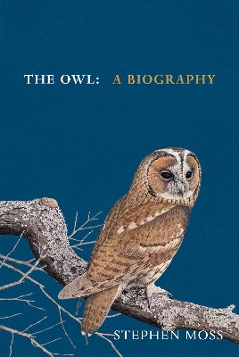 Book cover for The Owl