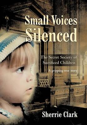 Book cover for Small Voices Silenced