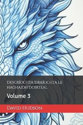 Book cover for Descr�ochta Dra�ochta le haghaidh Doirteal