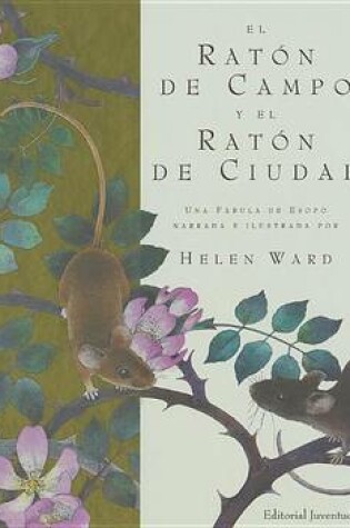 Cover of El Raton de Campo y El Raton de Ciudad