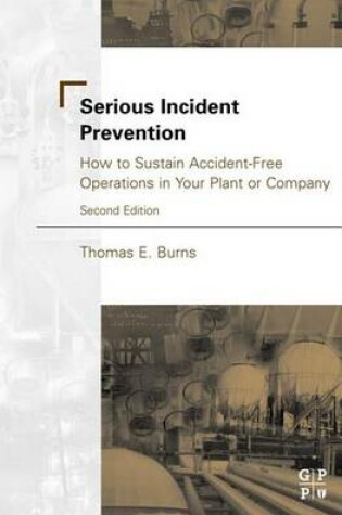 Cover of Serious Incident Prevention