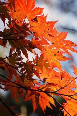 Book cover for Colorful Orange Maple Leaves in Autumn Journal