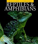 Book cover for Amphibians, Reptiles