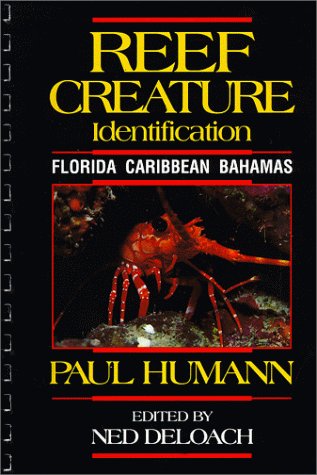 Book cover for Reef Creature Identification-Florida, Caribbean, Bahamas