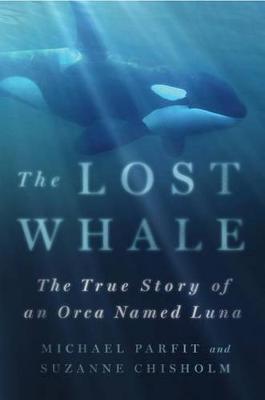 Book cover for Lost Whale